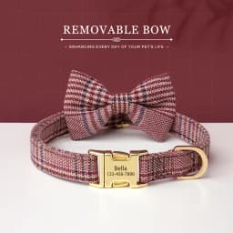 Personalized Dog ID Collar Cute Bowtie Pet Collars Necklace Free Engraving Puppy Cat Buckle Collar For Small Medium Dogs Cats