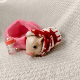 5 Inch Silicone Piglet Soft Cute Mini Realistic Animals with Accessories Lifelike Reborn Newborn Pig Doll Decompression Toy Gift