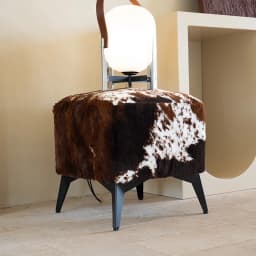 Imitation Cowhide Sofa Bench Living Room Shoe Changing Stool High Elastic Sponge Hallway Ottoman Iron Frame Home Furniture