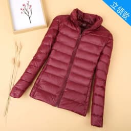 Off-Season down Cotton Jacket Short Style Women's Student Korean Version Outerwear Large Size Commuter Straight Tube Type