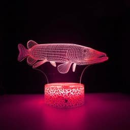 Nighdn Fish 3D Illusion Table Lamp LED Touch Acrylic 7/16 Color Changing Night Light Gift for Kids Elder Bedroom Decoration