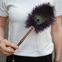 Portable Peacock Ostrich Feathers Duster Brush Handle Anti-static Cleaning Tools Household Dust Sweeping Brushs Multi-function