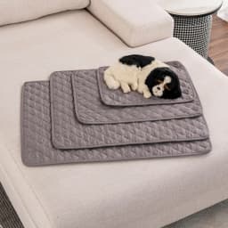 Reusable Dog Pee Pad Environment Protect Pet Diaper Mat Pet Diaper for Small Medium Large Dogs Dog Training Mat