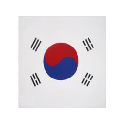 National Flag Pattern Bandana 100% Cotton Running Dancing Headband UK/ Korea/ Brazil/ Mexico/ Haiti Flag Scarf Hip Hop Headwrap