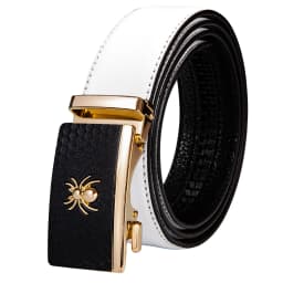 Luxury Brand New Designer Belts For Men Gold Buckle Yellow Blue Blue Black Cowskin Genuine Leather Belt Strap Casual Formal Gift