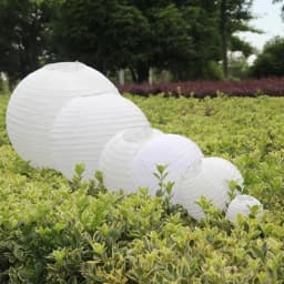 4-6-8-10-12-14-16-20 Inch White Round Chinese Paper Lantern for Wedding Birthday Party Decoration Bedroom Hanging Paper Balls