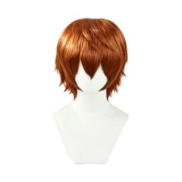 Multicolor Layered Short Spiky Synthetic Wig Unisex Anime Male Character Halloween Party Convention Game Cosplay Daily Fashion