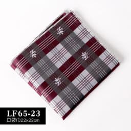 22CM Classic Men Polyester Pocket Square Dot Paisley Floral Handkerchief Business Hanky Wedding Party Chest Tie Suit Accessories