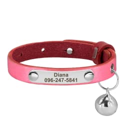 Personalized Nameplate Cat Collar Safety Custom Cat Collars Necklace Free Engraved ID Name Tag For Puppy Kitten Cats Accessories