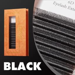 DeceMars 6D-W Shaped Eyelash Extension (12line/Tray)
