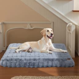 Fluffy Dog Crate Bed for Extra Large Dogs, Plush Faux Fur Crate Pad, Calming Anti Anxiety Dog Bed, Washable Soft Warm Crate