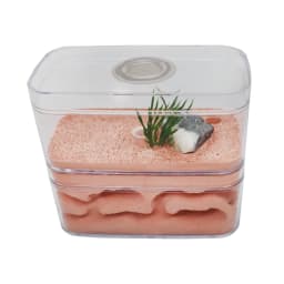 Highly Moisturizing Ant Farm Plaster Ant Nest Insect Box with Workshop Pet Anthill Castle Natural Ecological Ant House 12*6*10cm