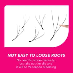 TDANCE W Shape Lash Soft Handmade 3d 4d 5d 6d 8d Premade Volume Fan C D 0.07MM Eyelashes Extension
