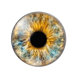glass eyes cabochons Round 8MM-30MM Round Dome Dragon Eye Dragon Cat Eye Toys DIY Jewelry Accessory MIX Pupil Eye Cameo