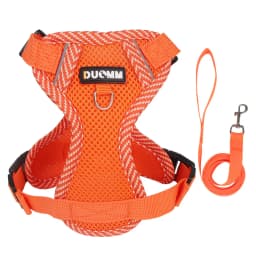 Escape Proof Cat Harness with Leash, Reflective Adjustable Mesh Vest for Cats and Kittens, Safe Outdoor Walking Training Harness
