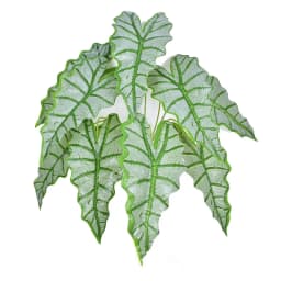 31in Large Fake Tropical Monstera Plants Artificial Palm Tree Plastic Leaf Water Plant for Office Desk Home Garden Greenery Deco