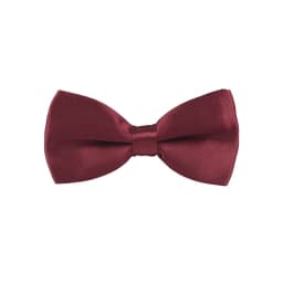 HUISHI Men's Ties Polyester Kids Bowtie Bow Ties For Children Solid Color Butterfly Knot Dress Shirt Accessories Wedding Cravats
