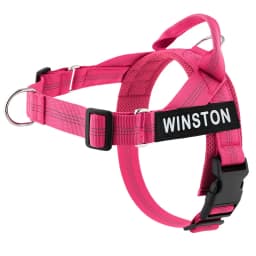 Personalized No Pull Dog Harness with Name Patch Escape-Proof Adjustable Reflective Soft Padded Dog Vest for Training Walking