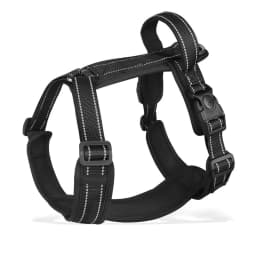 Custom Embroidered Reflective Dog Harness, Personalized Name & Phone, Adjustable No Pull Pet Vest for Small Medium Large Dogs