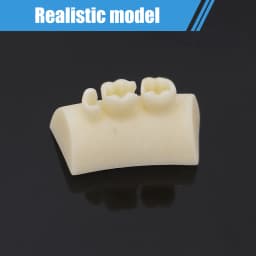 Dental Inlay Exercise Model Block Composite Resin Filling Practice Models Dentistry Oral Teeth Teaching Typodont Study