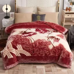 New Warm Weighted Blankets for Beds High End Thicken Warmth Raschel Blanket for Winter Autumn Double Side Plush Comforter Quilt