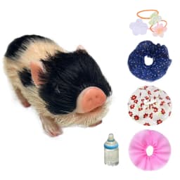 12cm Cute Mini Reborn Piglet Full Body Silicone Piglet Dolls With 3 Sets Mini Outfits for Each Bebe Reborn Smile Piglet