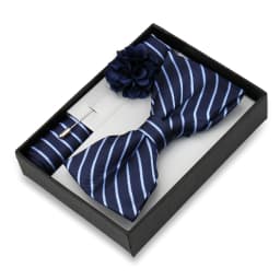 Classic High Quality Bow Tie Set Box Gift For Men Fashion Elegant Bowtie Handchief And Brooch Set Wedding Business Accessories