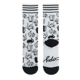 Fashion Colorful Spring Autumn Stocking Women's Socks Plant Hedgehog Slothsi Cotton Socks Personality Straight Trendy Socks