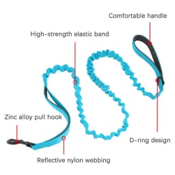 Custom Name No Pull Dog Harness Elastic Buffer Leash Set Adjustable Reflective Nylon Walking Lead for Small Medium Large Dogs