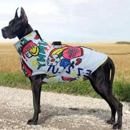 Camouflage Big Dog Coat Jacket Winter Warm Pet Clothes for Medium Large Dogs Waterproof Mascotas Clothing Roupa Para Caes Grande