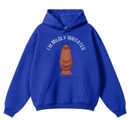 Funny I'm Mildly Irritated Marcus The Worm Meme Hoodie Humor Men Women Hoody Sweatshirt Autumn Winter Oversized Casual Pullover