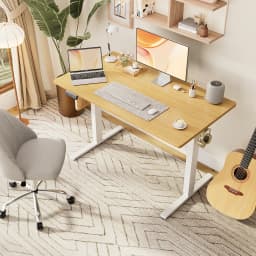 MCQ 48x24 Inch Ergonomic Height Adjustable Electric Standing Desk Sit Stand Computer Workstation Standing Table for Home Office