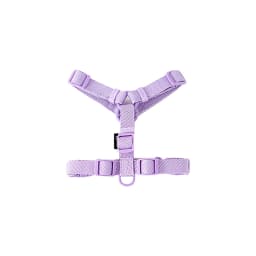 Adjustable Dog Harness Collar Leash Set Macarone Color, Reflective Small Dog Accessories for Puppy & Cat Supplies, Pet Walking