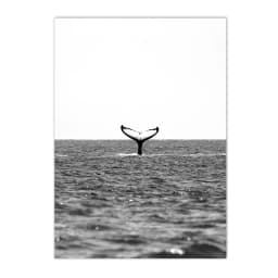 Black White Sea Beach Whale Lighthouse Wall Art Poster And Print Landscape Canvas Nordic Art Painting Modern Pictures Home Decor