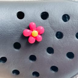 1-6Pcs Cartoon Animal Sheep Turtle Bear Elephant Duck Resin Shoe Charms Decorations for Bands Garden Shoes Button Accessories