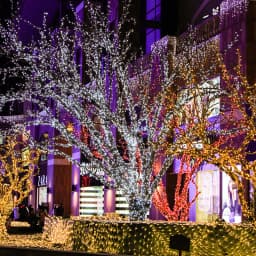 3x2m Christmas Light Net Mesh Curtain Lights Wedding Party Decoration Outdoor Waterproof Lamp Curtain Light