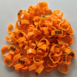 100 Pcs/set Inner Diameter 8mm Pigeon Leg Poultry Dove Bird Parrot Clip Rings Band Foot Ring Pigeon Supplies Bird Appliances