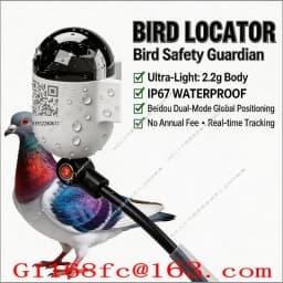 1-20pcs Professional and Accurate GPS Ring Speed Data Analysis Function, Used for Daily Training Locator of Racing Pigeons