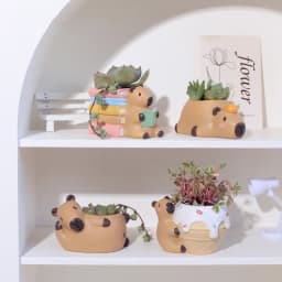 Cute Capybara Small Plant Pot Resin Succulent Planter for Home Office Desk Mini Ornament Fairy Garden Flowerpot Decoration