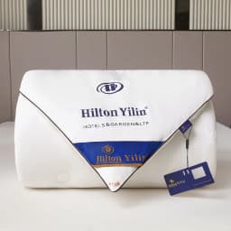 Hotel Style Comforter Queen King Lightweight Fluffy Comfortable and Breathable Soft Winter Quilt Very Warm 220x240 Quilts Blanke