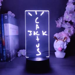 Cactus Jack 3d Illusion Lamp Cool Stuff to Room Decoration Lovely Birthday Gift for Fans Friends Bedroom Standby Nightlight