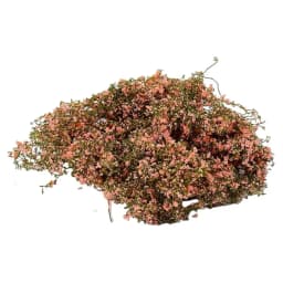 Miniature Climbing Vine Model, Artificial Leaves for Diorama, DIY Railway Scenery, Fake Foliage Plants for Architectural Model