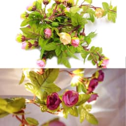 2m 4m 8m LED Rose Fairy Lights Solar Rose String Lights Outdoor Garland For Garden Party Porch Courtyard Terrace Decoration