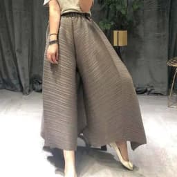 LANMREM pleated straight pants for famale 2025 spring new elastic waist pleated wide leg pants women YJ444