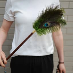 Portable Peacock Ostrich Feathers Duster Brush Handle Anti-static Cleaning Tools Household Dust Sweeping Brushs Multi-function