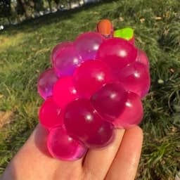 Sensory Fidget Toy Stress Relief Squeeze Toy Slow Rebound Squishy Grape Simulated Fruit Cozy Handmade Gift for Anxiety and Focus