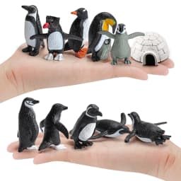 Realistic Plastic Growth Cycle Penguin Figurines Varieties of Penguins Polar Arctic Animal Figures Easter Eggs Cake Toppers Gift