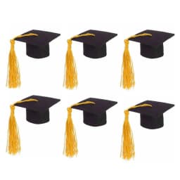 6Pcs Fashion Mini Graduation Hat Doctoral Cap Costume Top Hat With Tassels DIY Doll Decor Flowers Wine Bottle Dolls Decoration