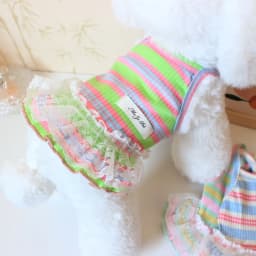Thin Cooling Dog Dress Striped Dog Clothes Summer Puppy Skirts Girls Dog Costume Chihuahua Clothing Bichon Dog Supplies 2026 New