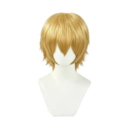 Multicolor Layered Short Spiky Synthetic Wig Unisex Anime Male Character Halloween Party Convention Game Cosplay Daily Fashion